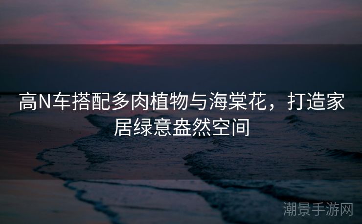 高N车搭配多肉植物与海棠花，打造家居绿意盎然空间