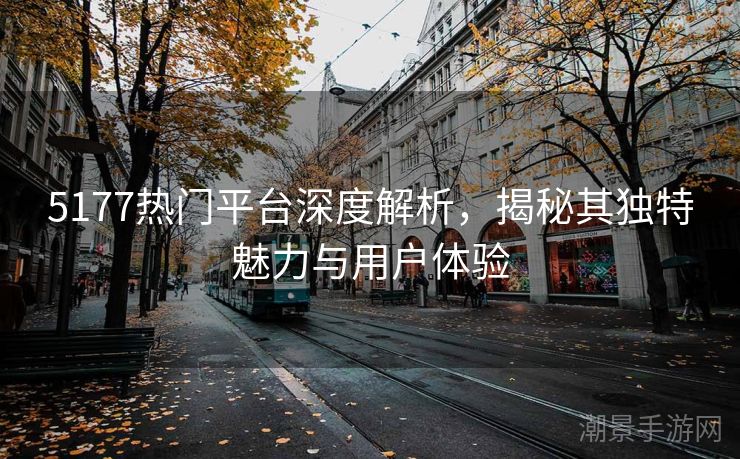 5177热门平台深度解析，揭秘其独特魅力与用户体验