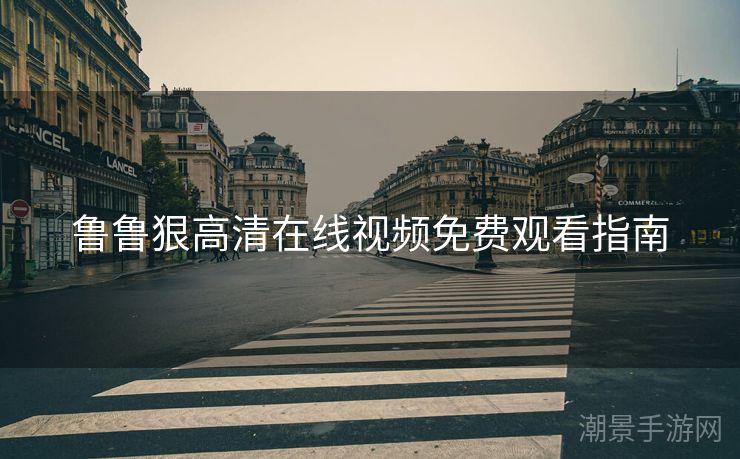 鲁鲁狠高清在线视频免费观看指南