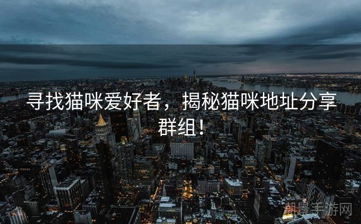 寻找猫咪爱好者，揭秘猫咪地址分享群组！