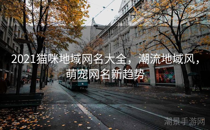 2021猫咪地域网名大全，潮流地域风，萌宠网名新趋势