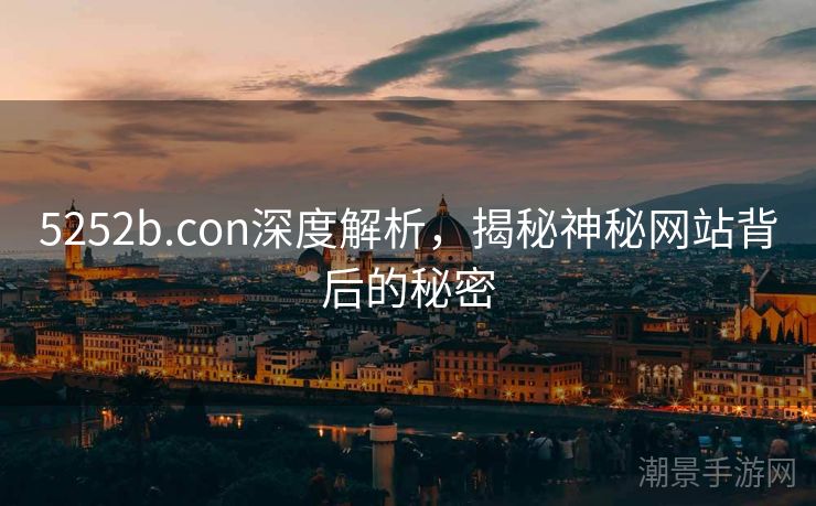 5252b.con深度解析，揭秘神秘网站背后的秘密