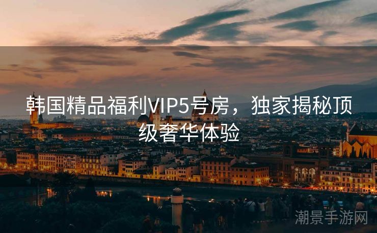 韩国精品福利VIP5号房，独家揭秘顶级奢华体验