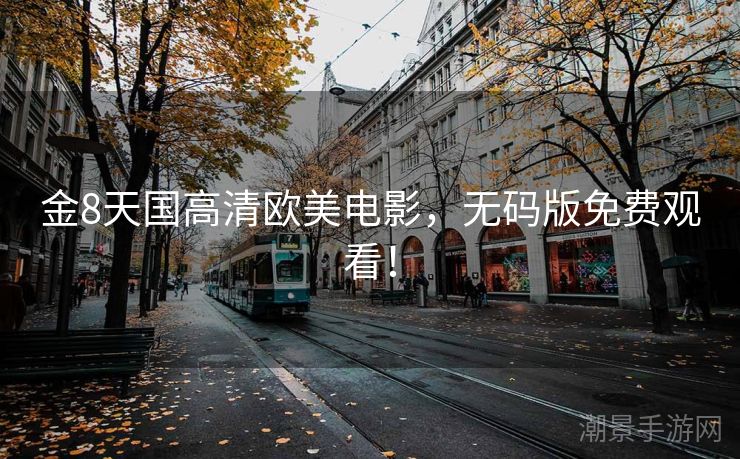 金8天国高清欧美电影，无码版免费观看！