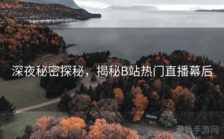 深夜秘密探秘，揭秘B站热门直播幕后