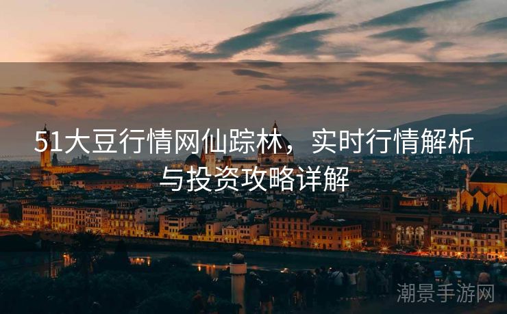 51大豆行情网仙踪林，实时行情解析与投资攻略详解