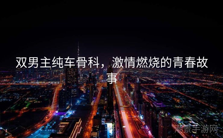 双男主纯车骨科，激情燃烧的青春故事