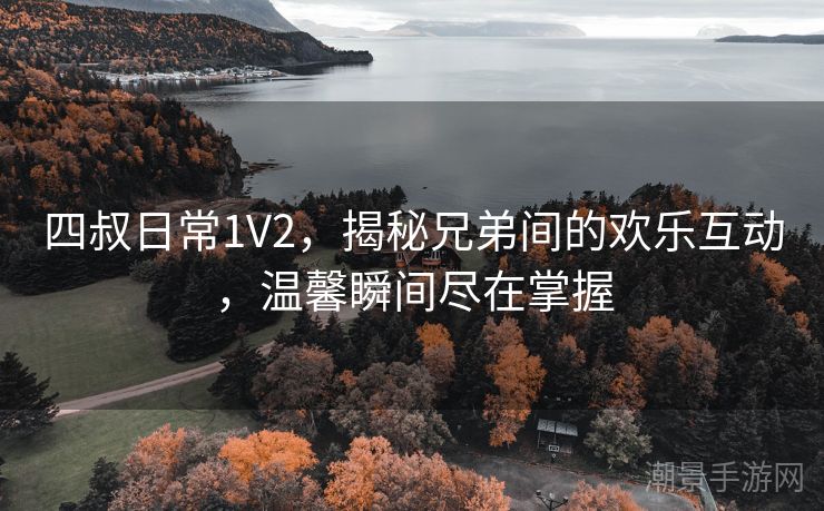 四叔日常1V2，揭秘兄弟间的欢乐互动，温馨瞬间尽在掌握