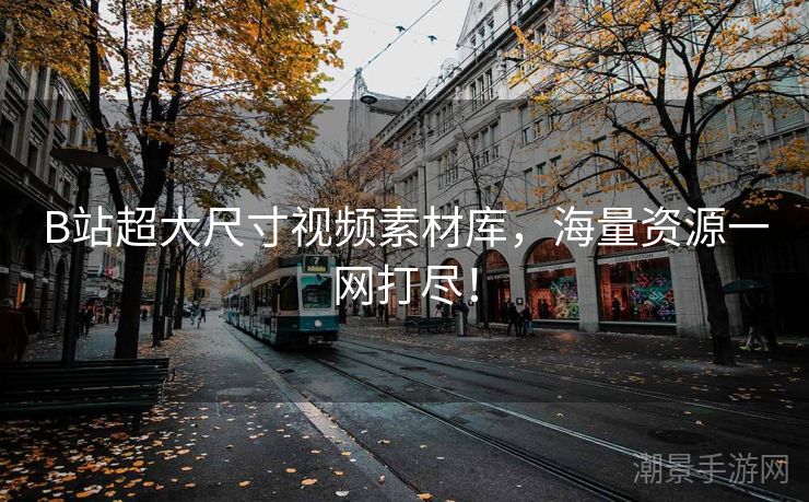B站超大尺寸视频素材库，海量资源一网打尽！