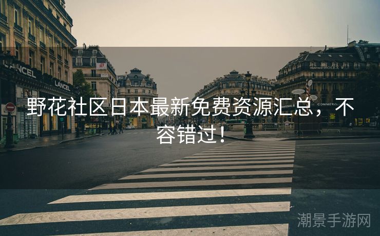 野花社区日本最新免费资源汇总，不容错过！