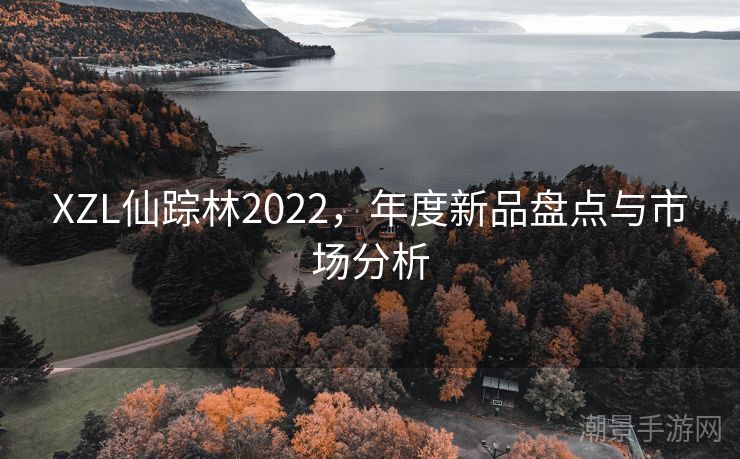 XZL仙踪林2022，年度新品盘点与市场分析