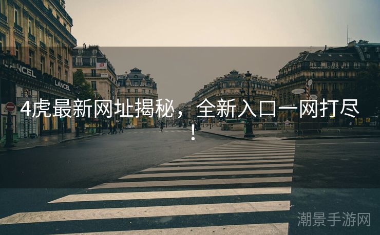 4虎最新网址揭秘，全新入口一网打尽！