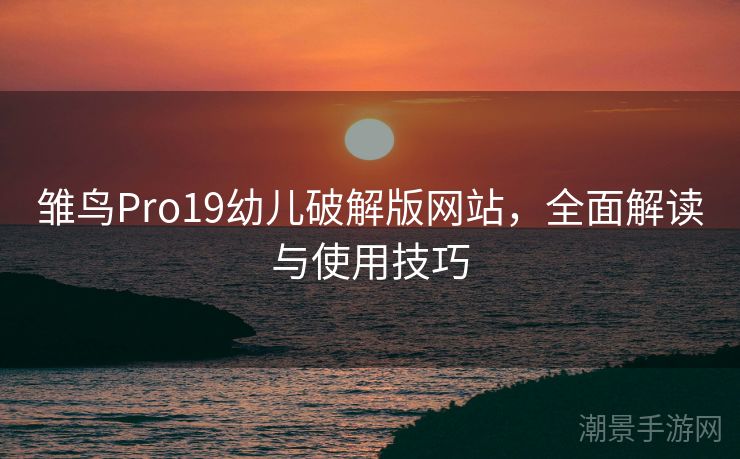 雏鸟Pro19幼儿破解版网站，全面解读与使用技巧