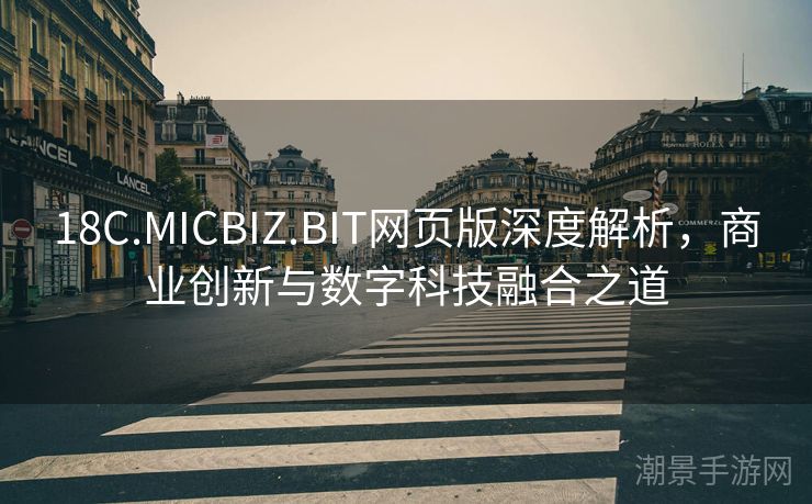 18C.MICBIZ.BIT网页版深度解析，商业创新与数字科技融合之道