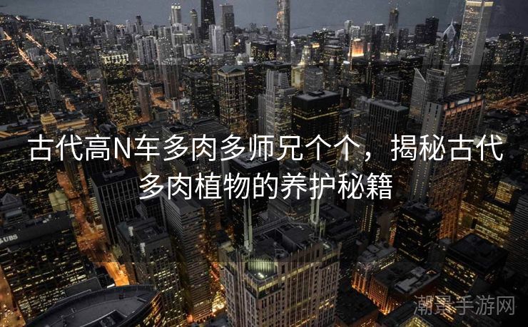 古代高N车多肉多师兄个个，揭秘古代多肉植物的养护秘籍