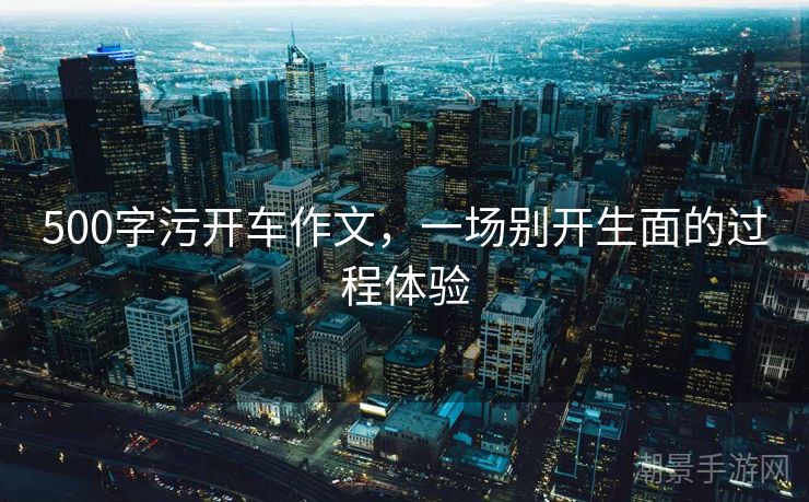 500字污开车作文，一场别开生面的过程体验