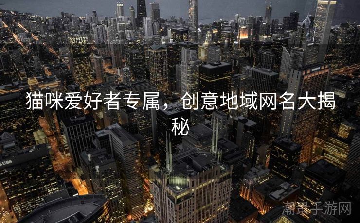 猫咪爱好者专属，创意地域网名大揭秘