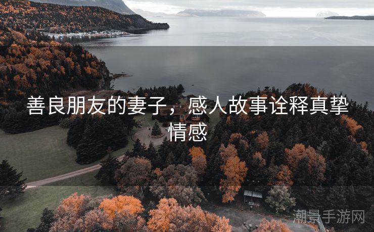 善良朋友的妻子，感人故事诠释真挚情感
