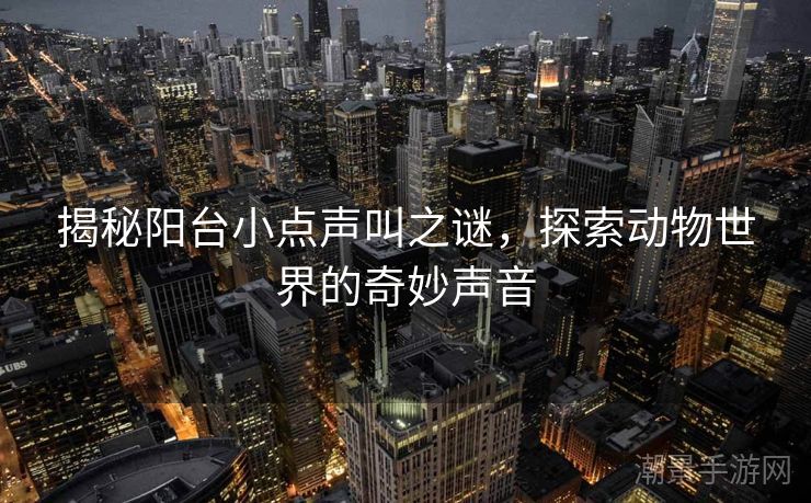 揭秘阳台小点声叫之谜，探索动物世界的奇妙声音