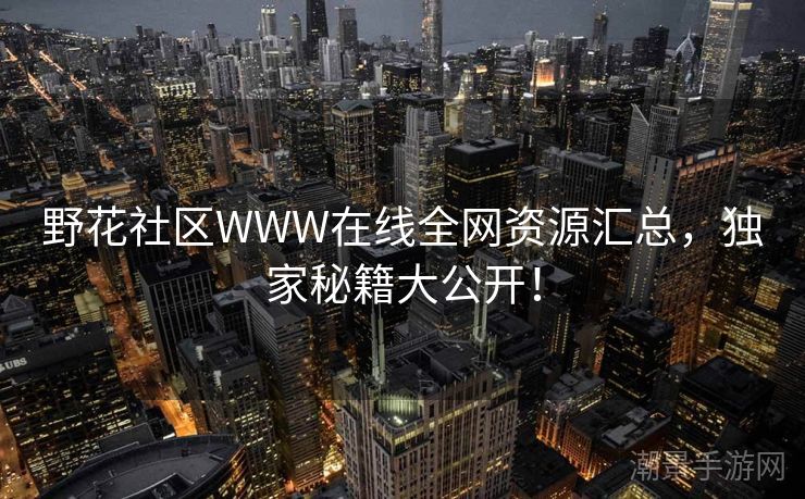 野花社区WWW在线全网资源汇总，独家秘籍大公开！