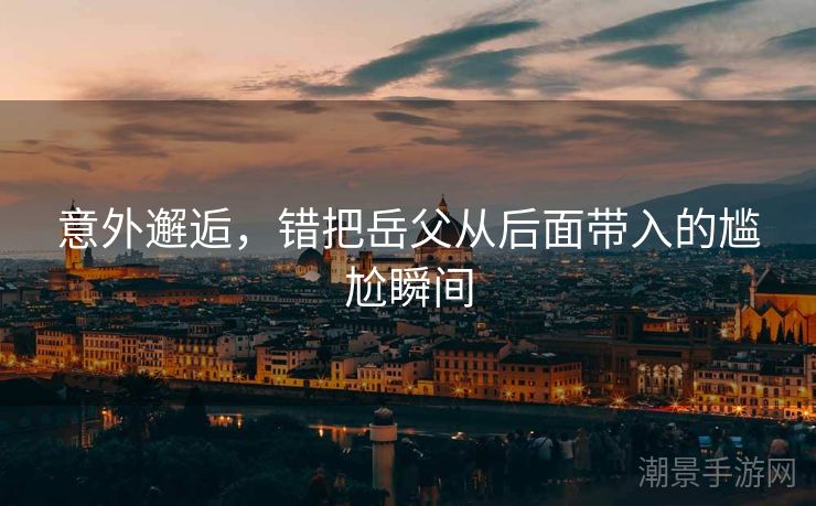 意外邂逅，错把岳父从后面带入的尴尬瞬间