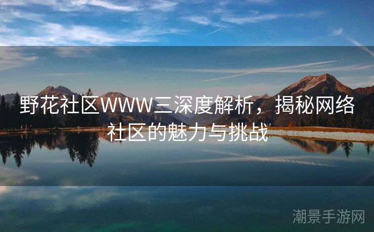 野花社区WWW三深度解析，揭秘网络社区的魅力与挑战