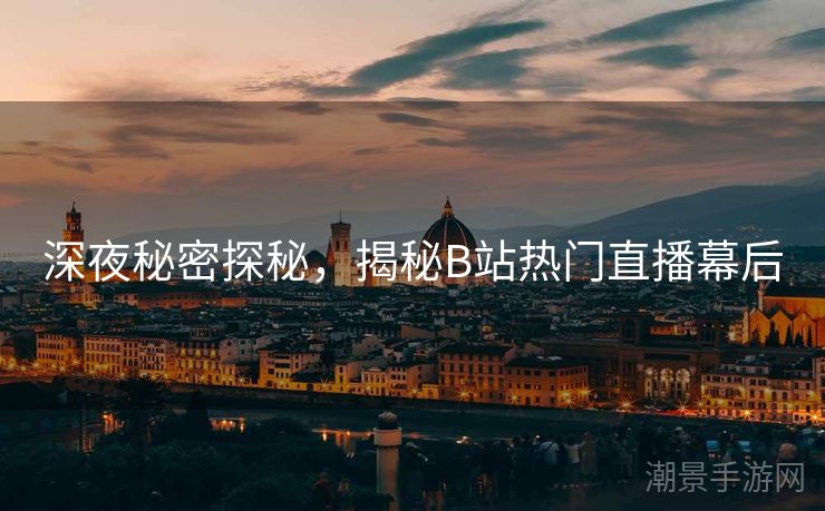 深夜秘密探秘，揭秘B站热门直播幕后
