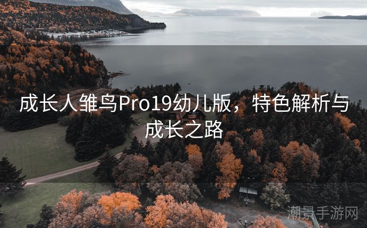 成长人雏鸟Pro19幼儿版，特色解析与成长之路