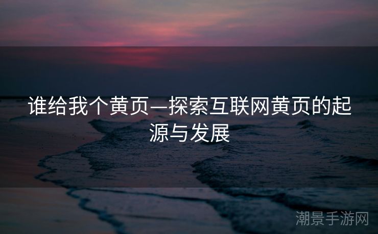 谁给我个黄页—探索互联网黄页的起源与发展