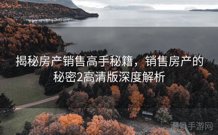 揭秘房产销售高手秘籍，销售房产的秘密2高清版深度解析