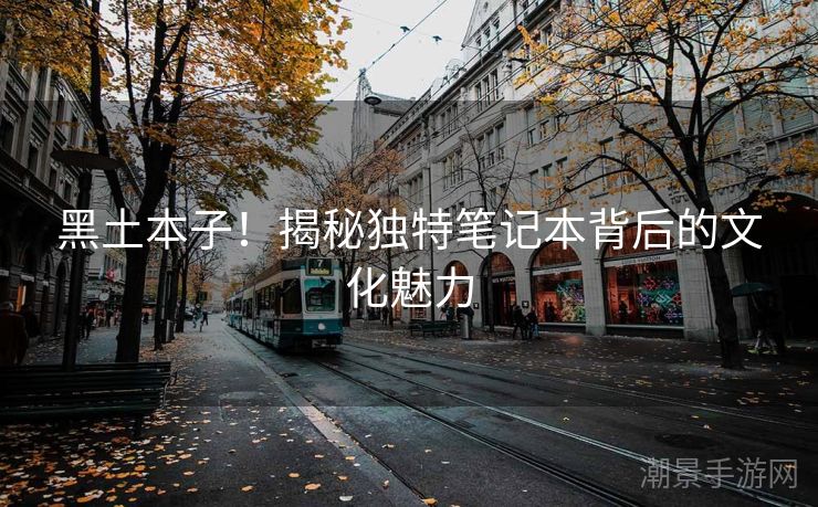 黑土本子！揭秘独特笔记本背后的文化魅力