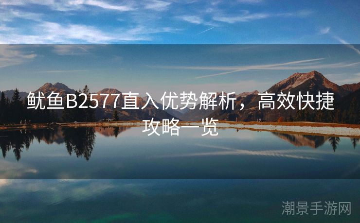 鱿鱼B2577直入优势解析，高效快捷攻略一览