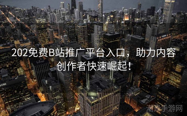 202免费B站推广平台入口，助力内容创作者快速崛起！