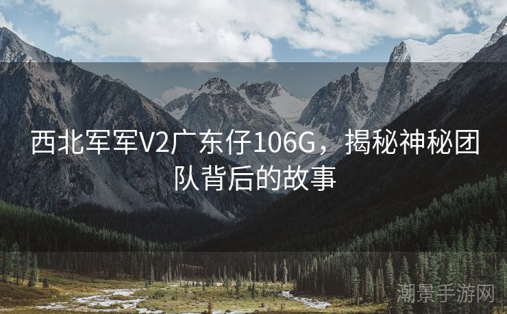 西北军军V2广东仔106G，揭秘神秘团队背后的故事