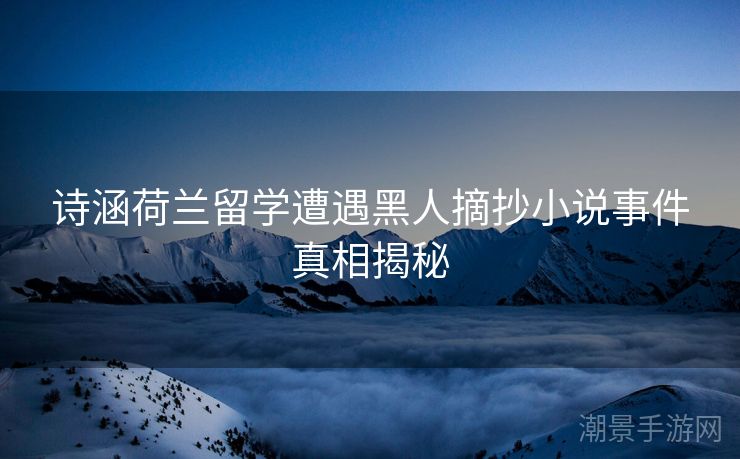 诗涵荷兰留学遭遇黑人摘抄小说事件真相揭秘