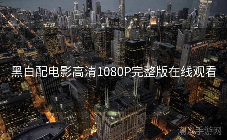 黑白配电影高清1080P完整版在线观看