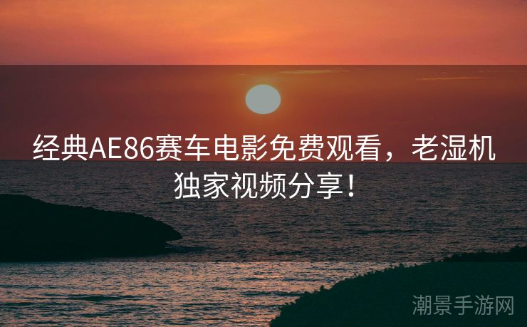 经典AE86赛车电影免费观看，老湿机独家视频分享！