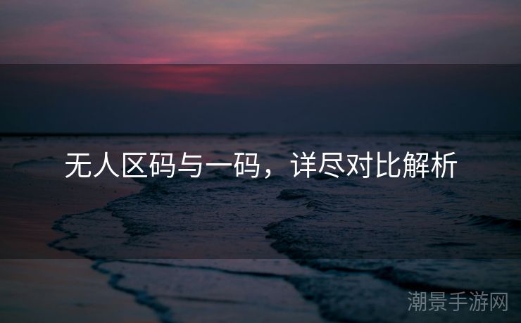 无人区码与一码，详尽对比解析