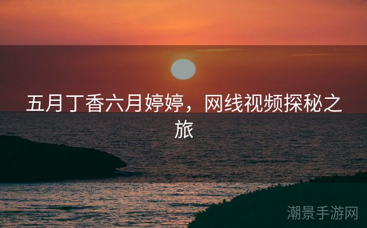 五月丁香六月婷婷，网线视频探秘之旅