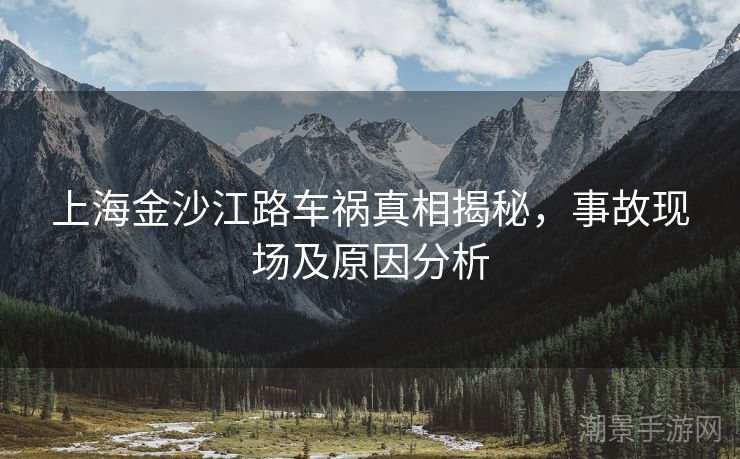 上海金沙江路车祸真相揭秘，事故现场及原因分析