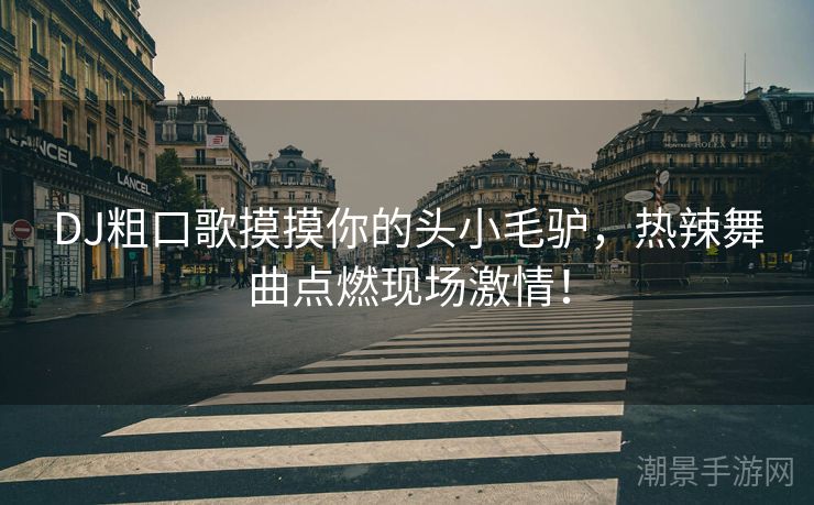 DJ粗口歌摸摸你的头小毛驴，热辣舞曲点燃现场激情！