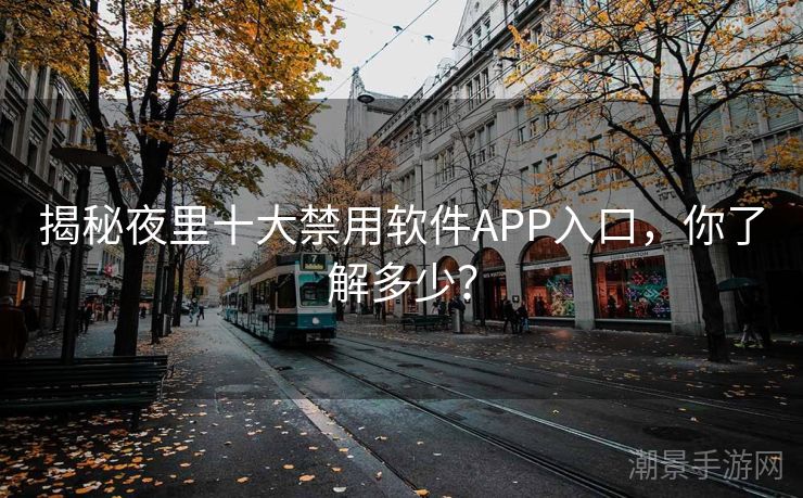 揭秘夜里十大禁用软件APP入口，你了解多少？
