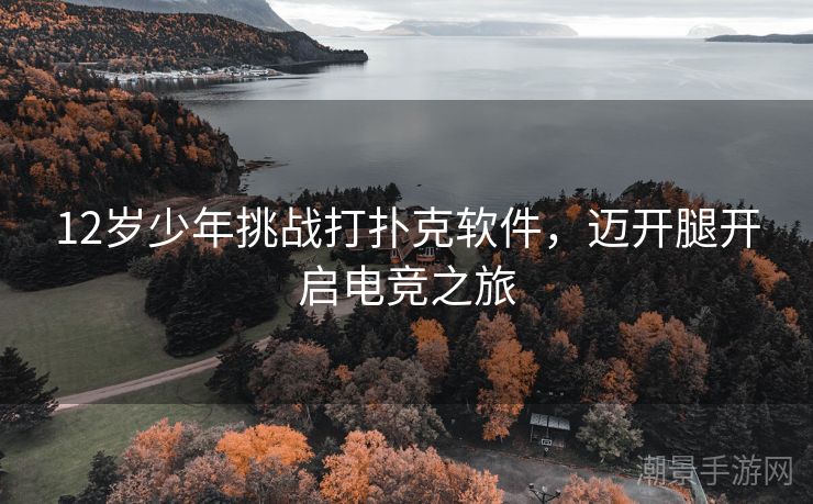 12岁少年挑战打扑克软件，迈开腿开启电竞之旅