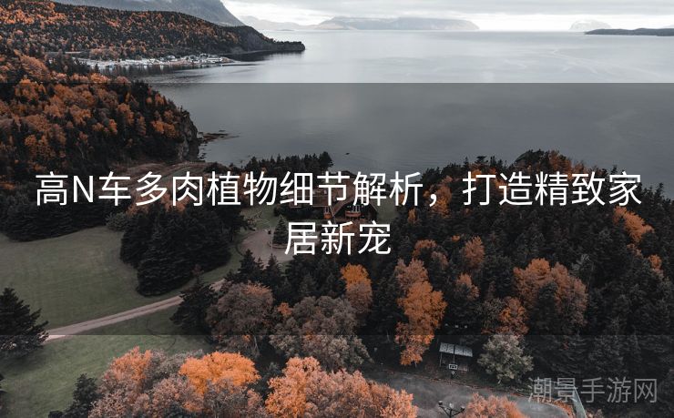 高N车多肉植物细节解析，打造精致家居新宠