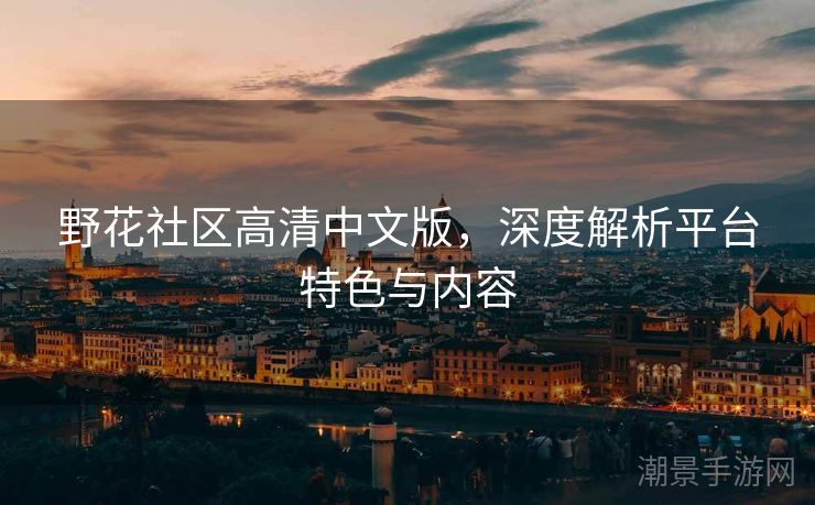 野花社区高清中文版，深度解析平台特色与内容