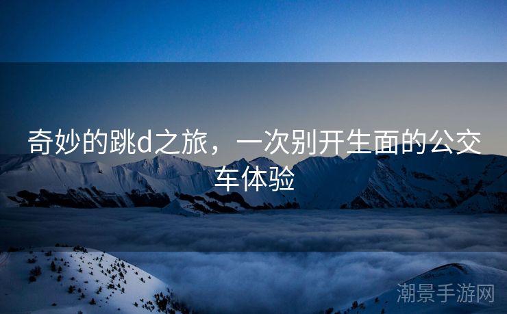 奇妙的跳d之旅，一次别开生面的公交车体验