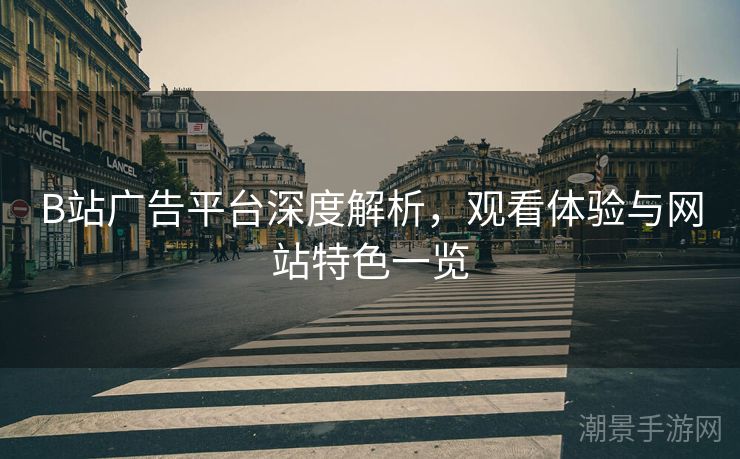 B站广告平台深度解析，观看体验与网站特色一览