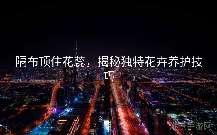 隔布顶住花蕊，揭秘独特花卉养护技巧