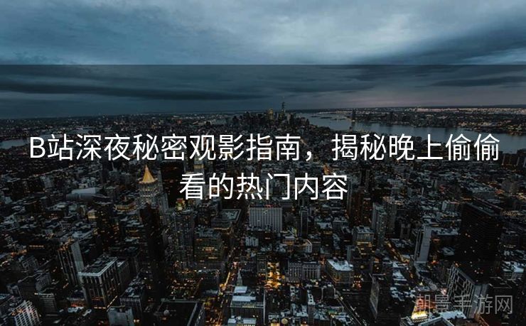 B站深夜秘密观影指南，揭秘晚上偷偷看的热门内容