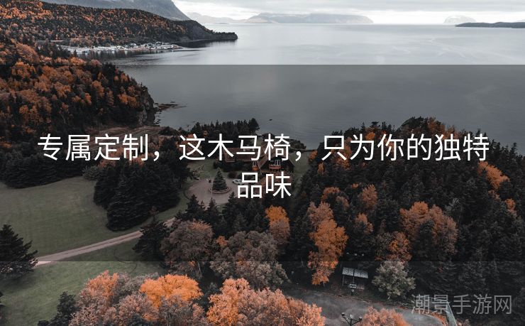 专属定制，这木马椅，只为你的独特品味